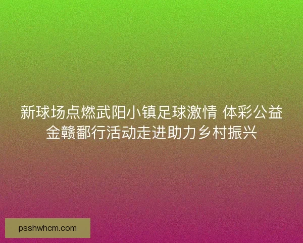 新球场点燃武阳小镇足球激情 体彩公益金赣鄱行活动走进助力乡村振兴