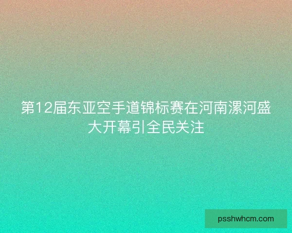 第12届东亚空手道锦标赛在河南漯河盛大开幕引全民关注