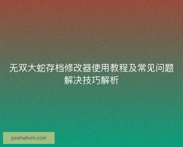 无双大蛇存档修改器使用教程及常见问题解决技巧解析